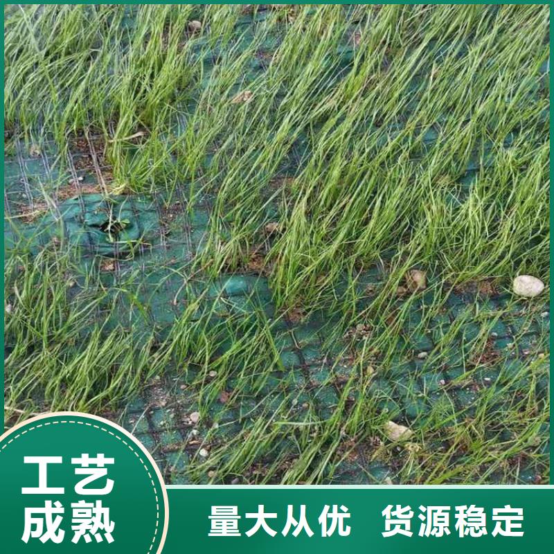 护坡植被植草毯-椰纤植生毯型号齐全免费获取报价