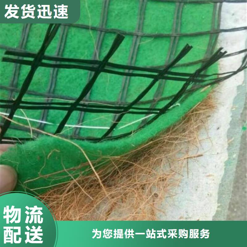 椰纤植生毯加筋抗冲生物毯源头厂商