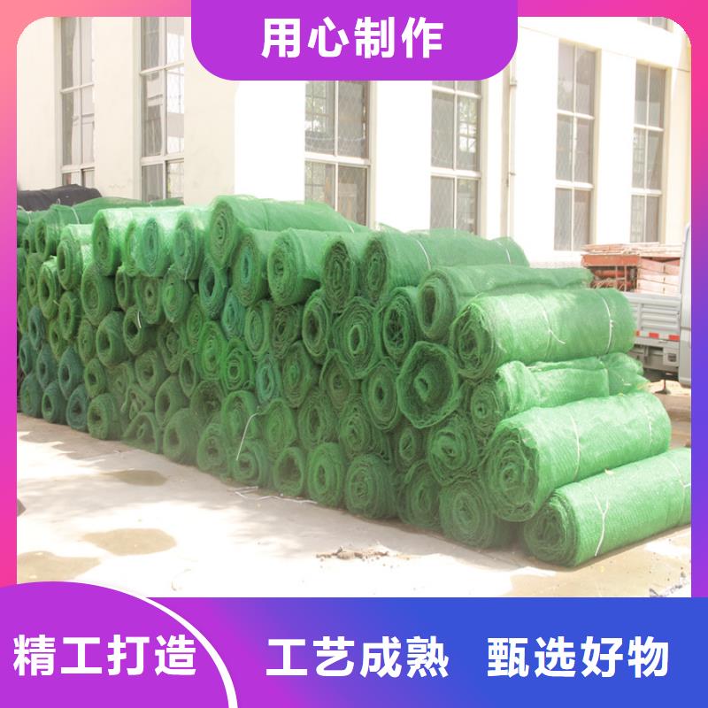 西藏三維土工網(wǎng)墊-EM3三維固土網(wǎng)墊
