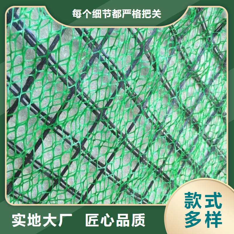 嘉峪關三維土工網墊-EM3三維植被網