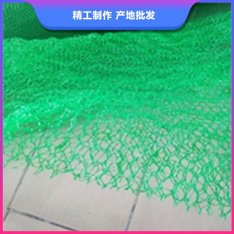 運(yùn)城三維固土網(wǎng)墊三維加筋網(wǎng)墊