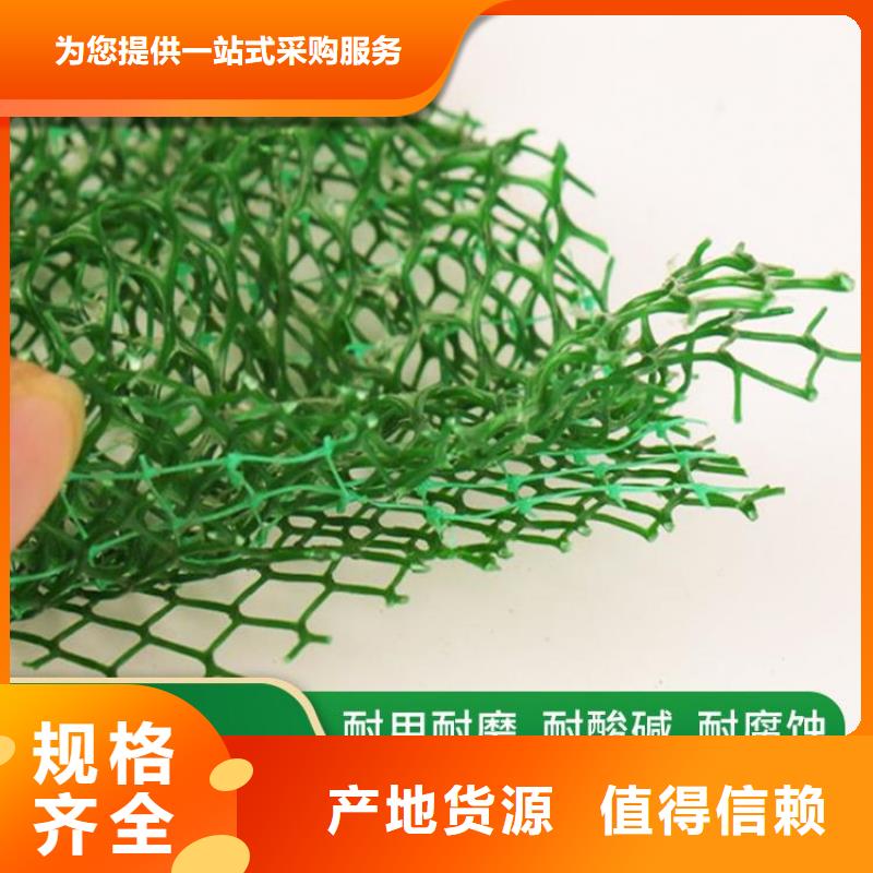 運(yùn)城三維固土網(wǎng)墊三維加筋網(wǎng)墊