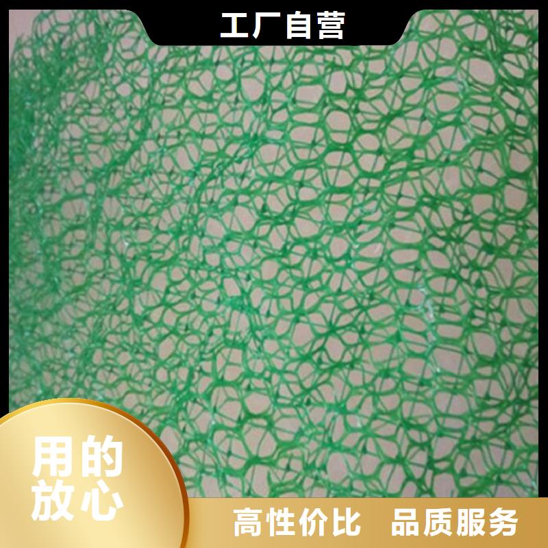 運城三維植草網(wǎng)墊塑料固土