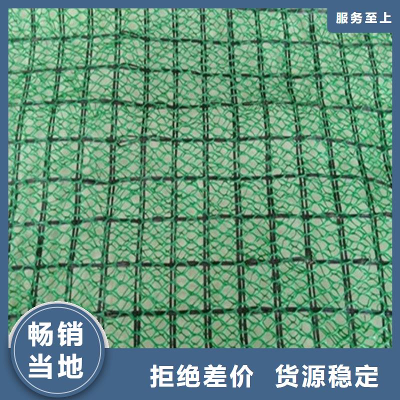 運城三維植草網(wǎng)墊塑料固土