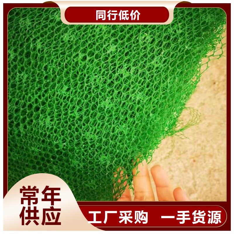 西藏三維土工網(wǎng)墊-EM3三維固土網(wǎng)墊