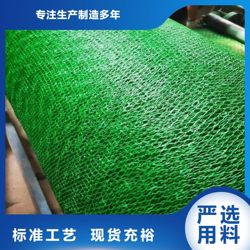 三维植被网加筋-防护施工当地经销商