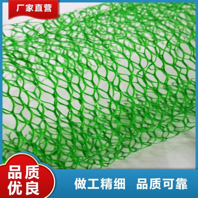 EM2三維植被網(wǎng)-三維網(wǎng)墊同城公司