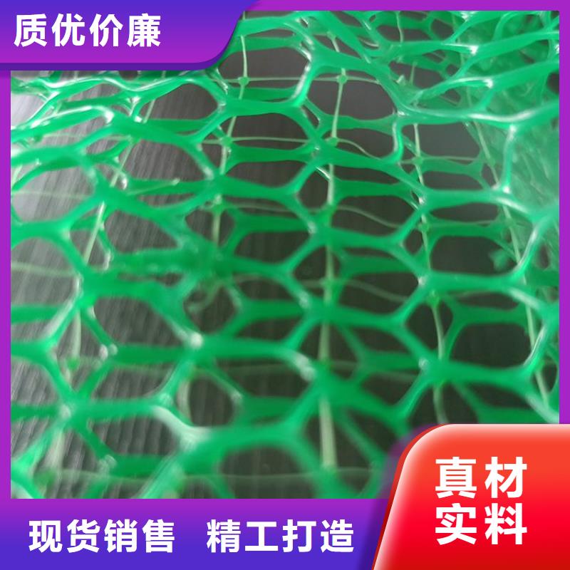 【三維植被網排水板值得信賴】實體誠信經營