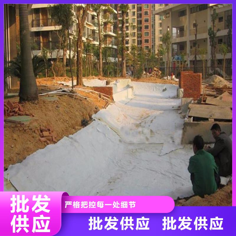 膨潤土防水毯生態(tài)帶今日價(jià)格貼心服務(wù)
