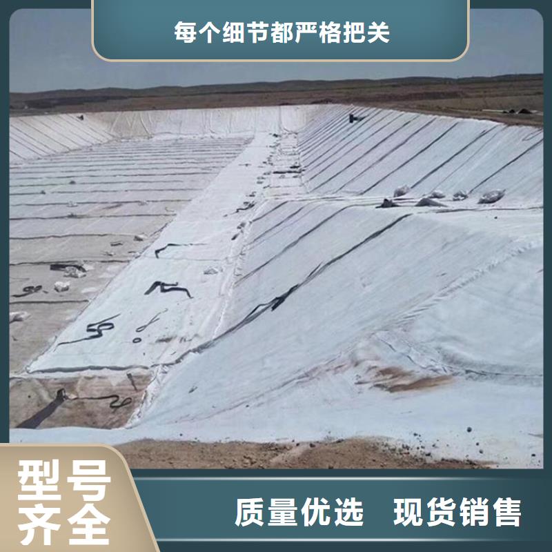 ​【膨润土防水毯】双向土工格栅准时交付生产经验丰富