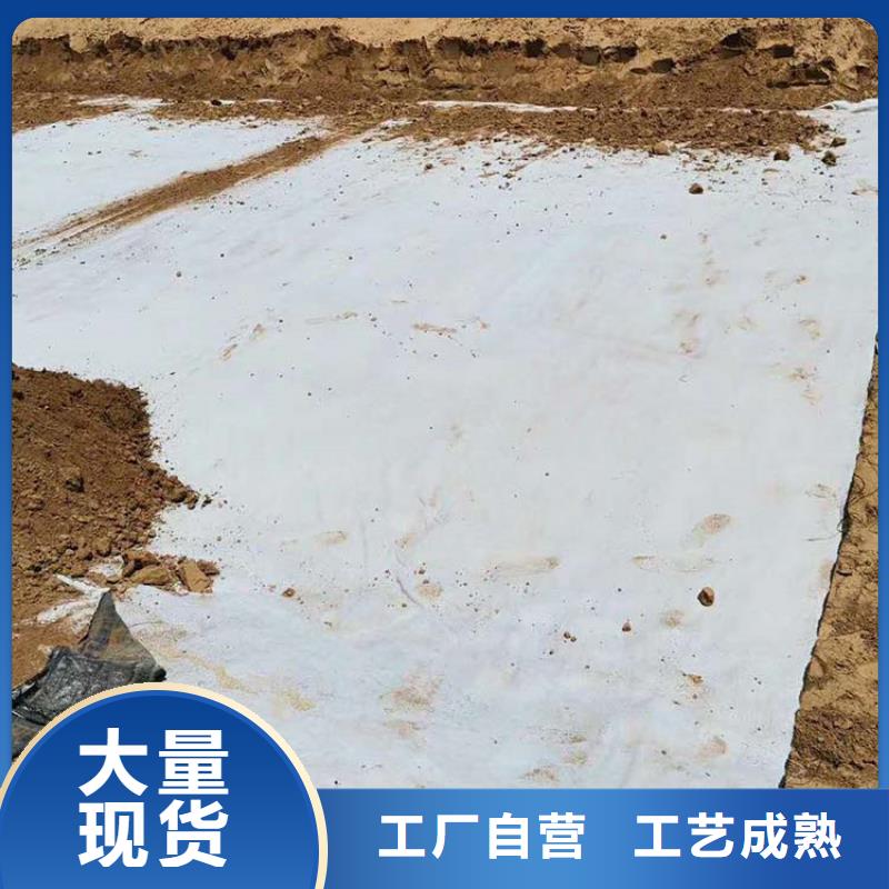 膨潤土防水毯土工格柵優選好材鑄造好品質嚴格把控每一處細節