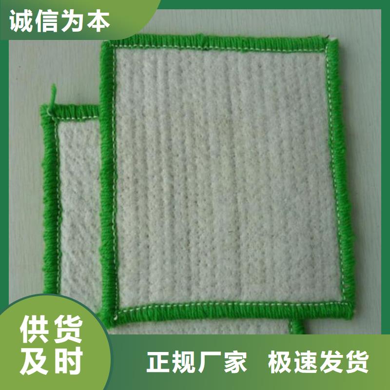 【膨潤土防水毯】_土工網墊規格齊全實力廠家設計合理
