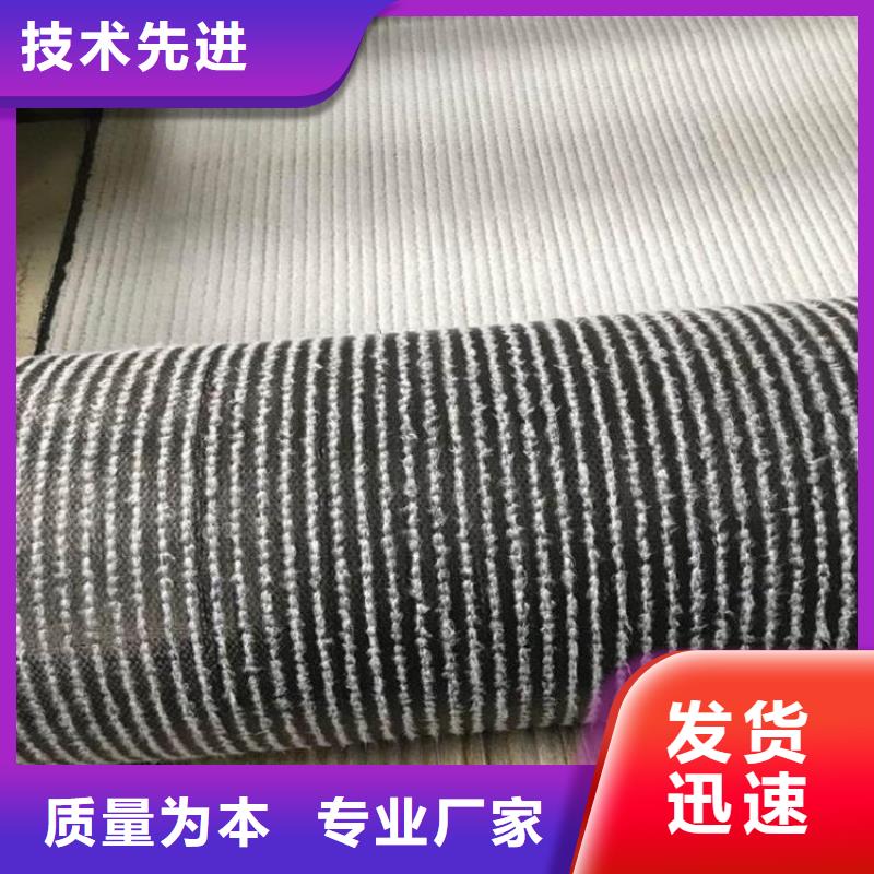 膨潤土防水毯玻纖格柵工藝層層把關廠家貨源穩定