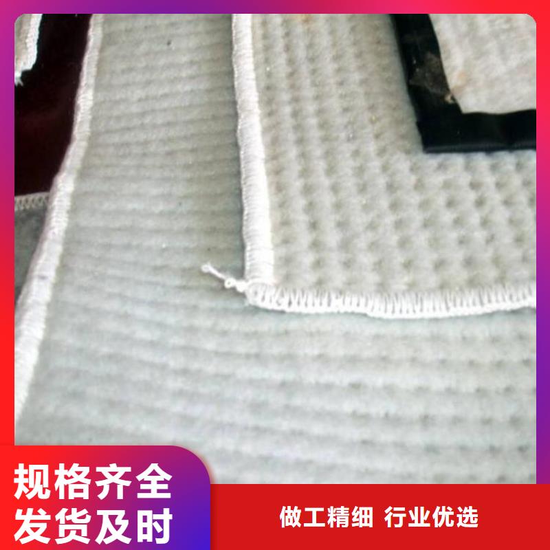 膨潤土防水毯雙向土工格柵從廠家買售后有保障物美價優