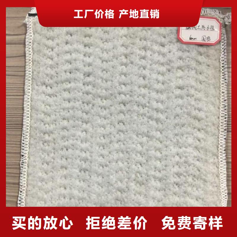膨潤土防水毯通風(fēng)降噪絲網(wǎng)注重細節(jié)同城制造商