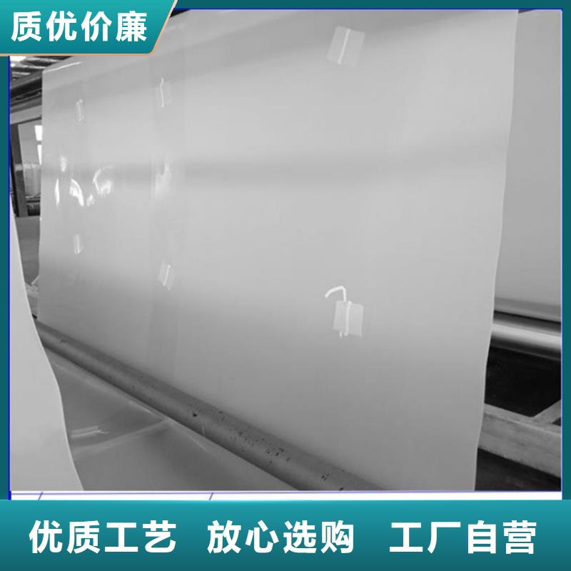 防水板土工膜實(shí)拍品質(zhì)保障市場(chǎng)行情