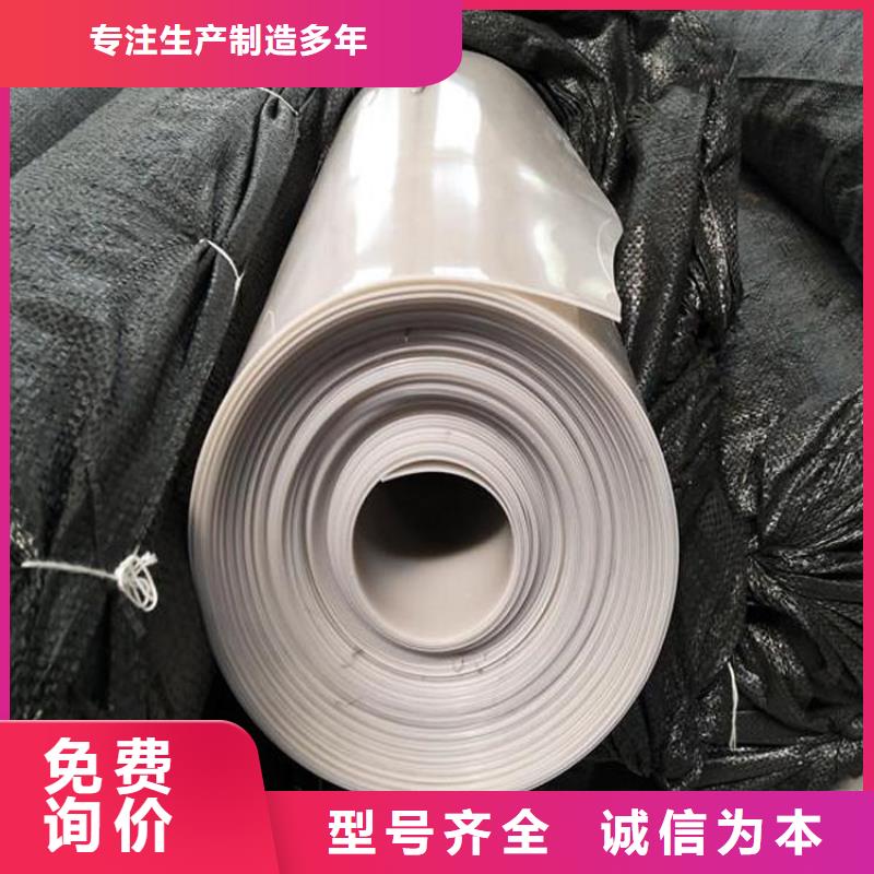 【防水板】-玻璃纖維土工格柵品質(zhì)過硬當?shù)亟?jīng)銷商