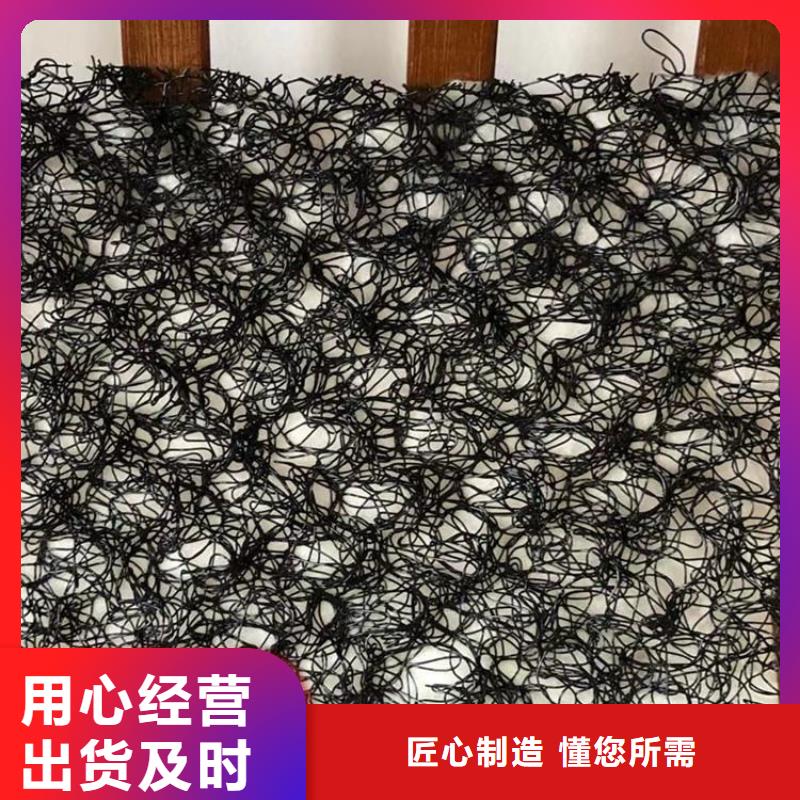 水土保護毯拉筋帶誠信為本一站式供應