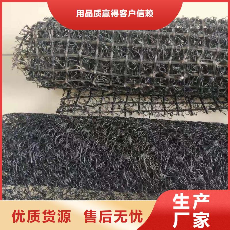水土保護毯雙向塑料土工格柵用品質說話敢與同行比質量