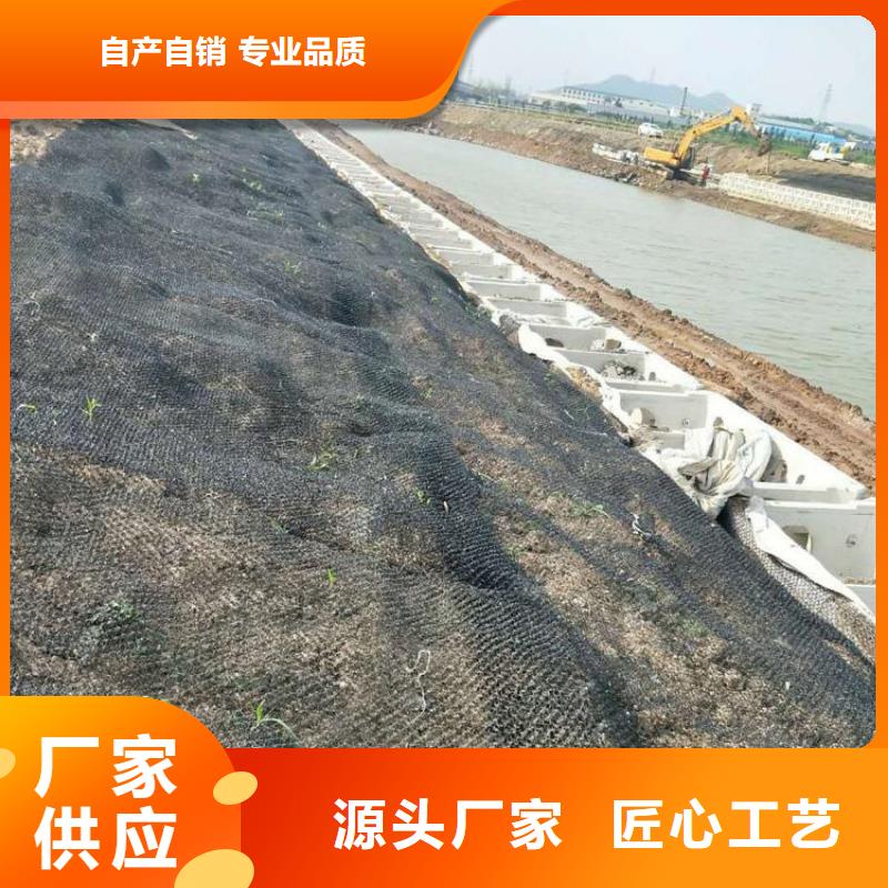 水土保護(hù)毯HDPE土工膜現(xiàn)貨采購訂購