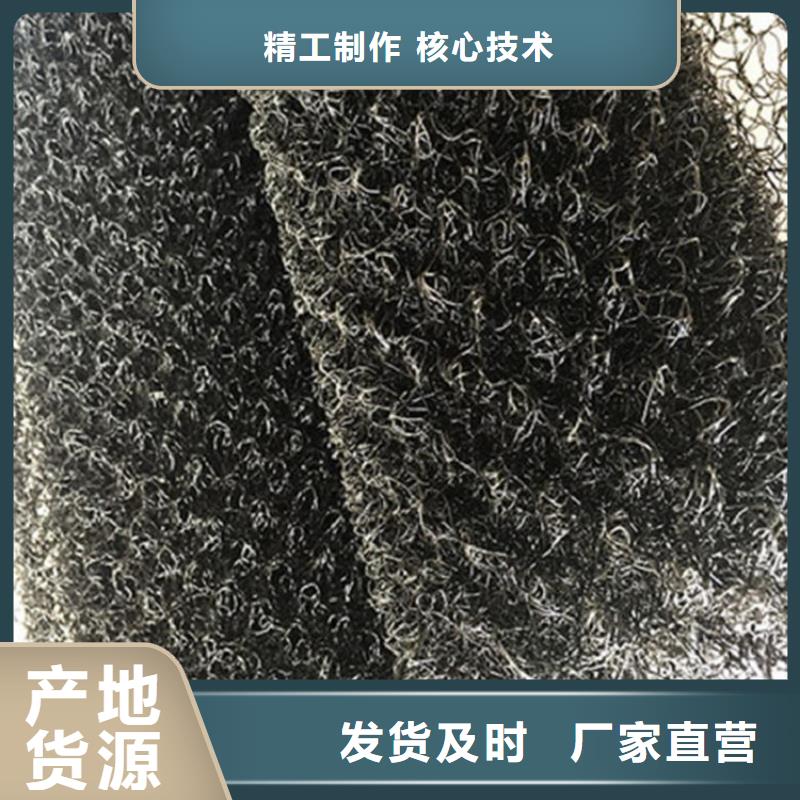 水土保護毯三維植被網一致好評產品精心