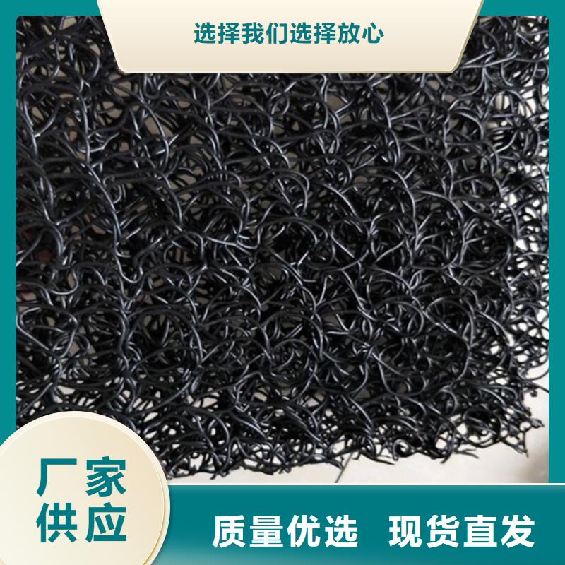 土工席墊-塑料盲溝常年供應(yīng)嚴(yán)格把關(guān)質(zhì)量放心