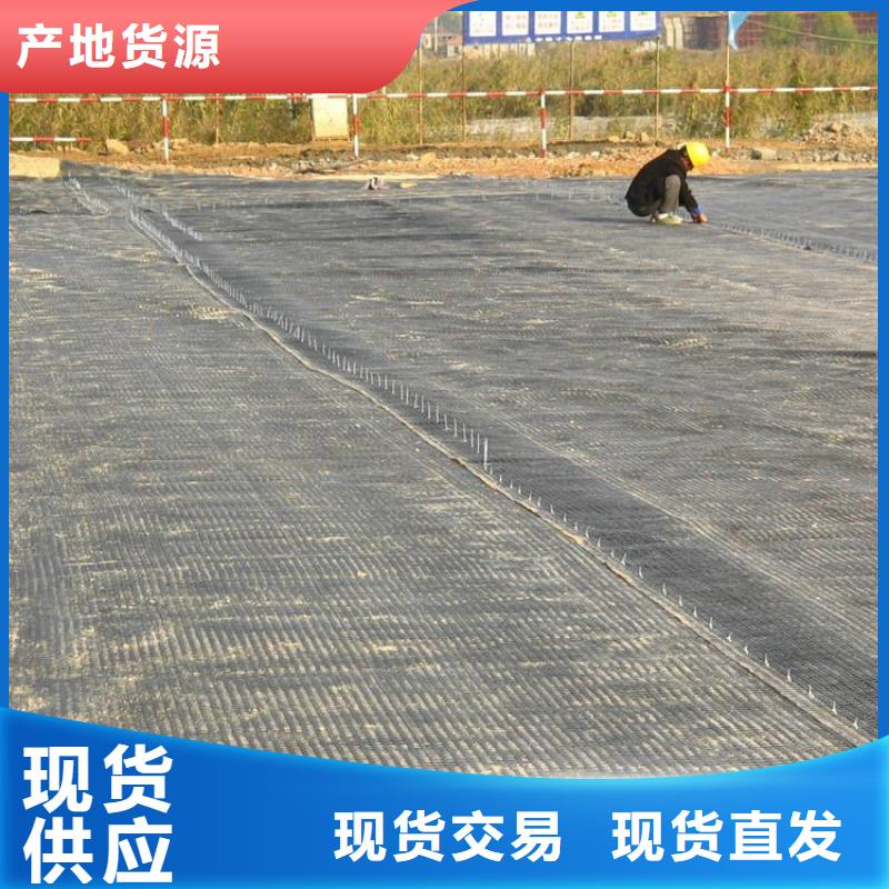 土工格栅双向塑料土工格栅市场行情源头工厂量大优惠