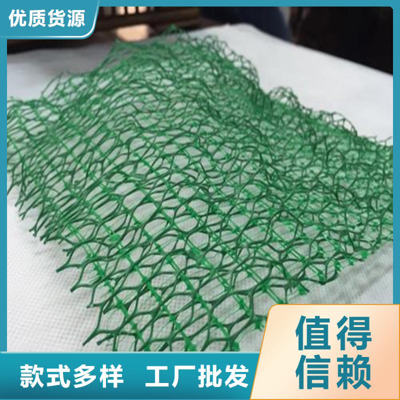 三維植被網(wǎng)_復(fù)合膜選擇我們選擇放心應(yīng)用廣泛
