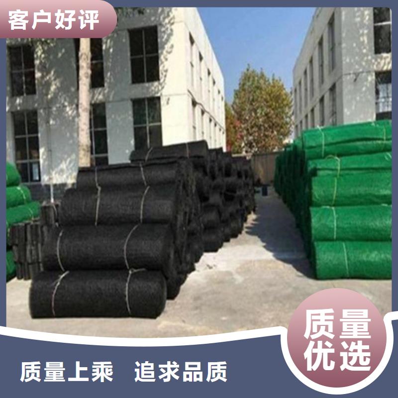 三維植草護(hù)坡網(wǎng)墊-EM5三維植被網(wǎng)多年經(jīng)驗(yàn)值得信賴