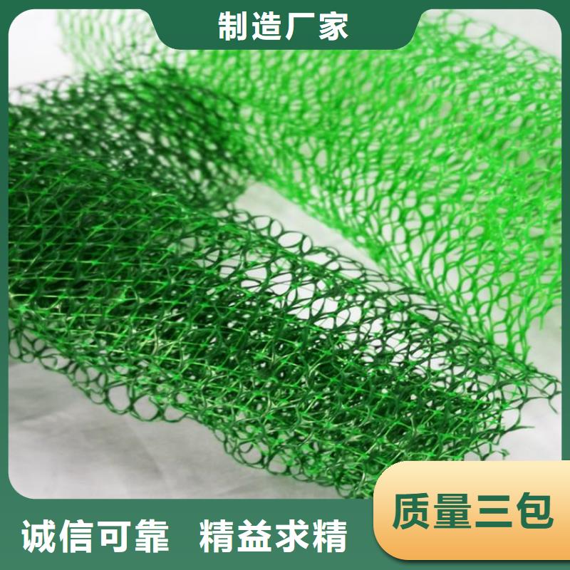 三維植被網(wǎng)_土工格室產(chǎn)品細節(jié)參數(shù)同城生產(chǎn)商
