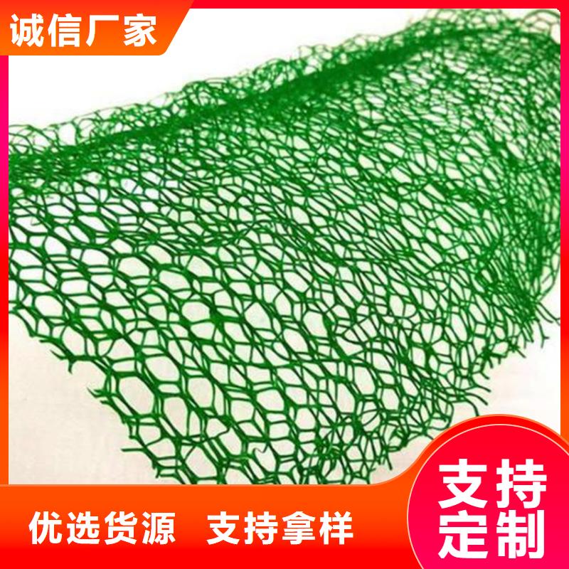 通遼三維護坡植草網墊
