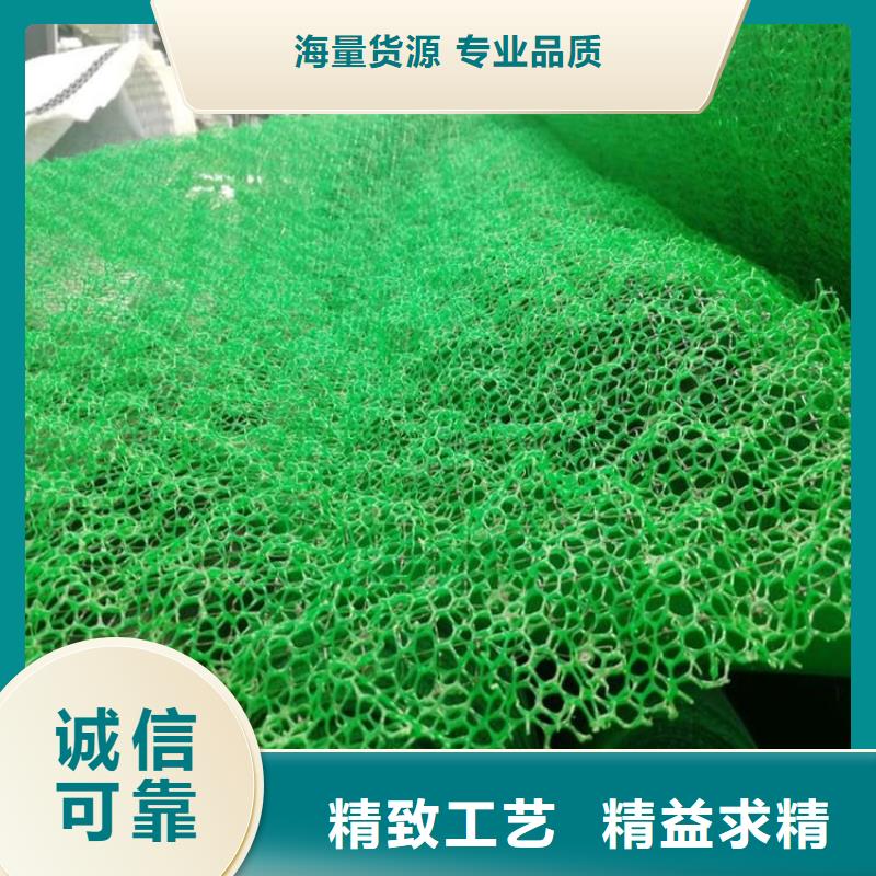 三维植被网_【玻纤土工格栅】信誉有保证源头工厂