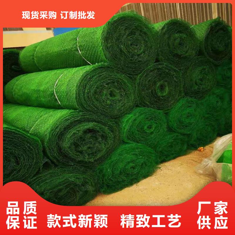 三維土工網(wǎng)墊-EM4三維土工網(wǎng)墊品質(zhì)服務(wù)