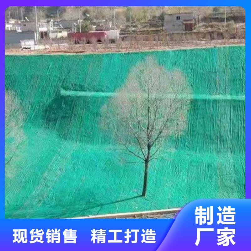 秦皇島植物纖維毯-植物生態防護毯