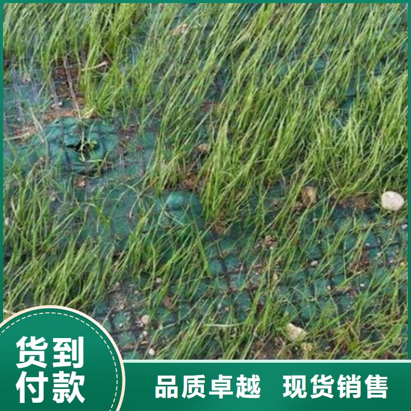 臨汾椰纖植生毯 -抗沖加筋生態(tài)毯-秸稈草毯