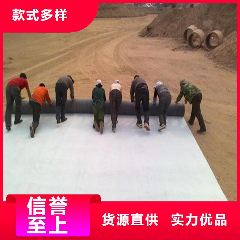 膨潤土防水毯土工格柵規(guī)格型號全當(dāng)?shù)胤?wù)商