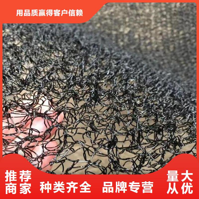 水土保護(hù)毯HDPE土工膜誠信可靠定制不額外收費(fèi)