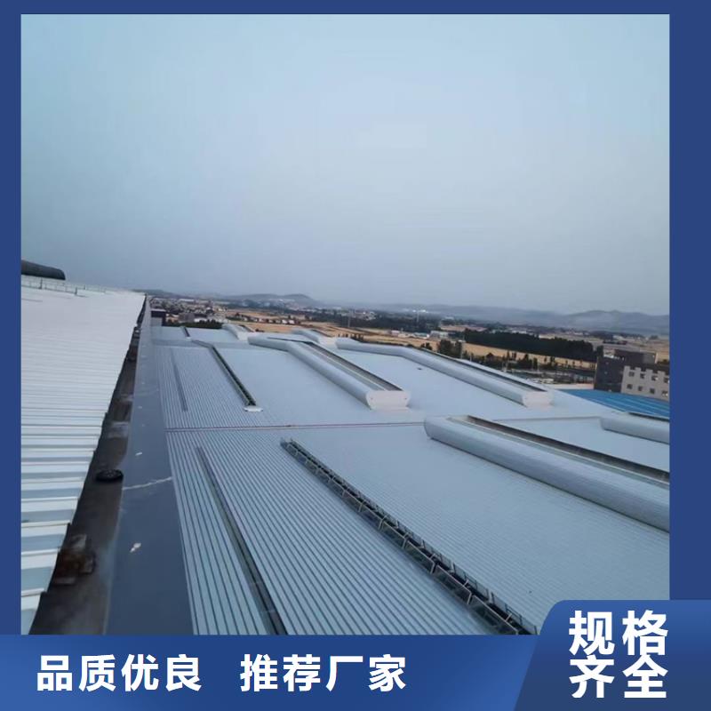 鋼結構屋脊天窗攜手共進當地經銷商