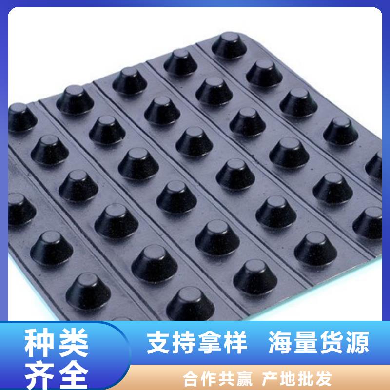 排水板產地貨源自有生產工廠
