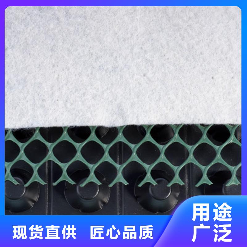泉州蓄排水板工廠直銷