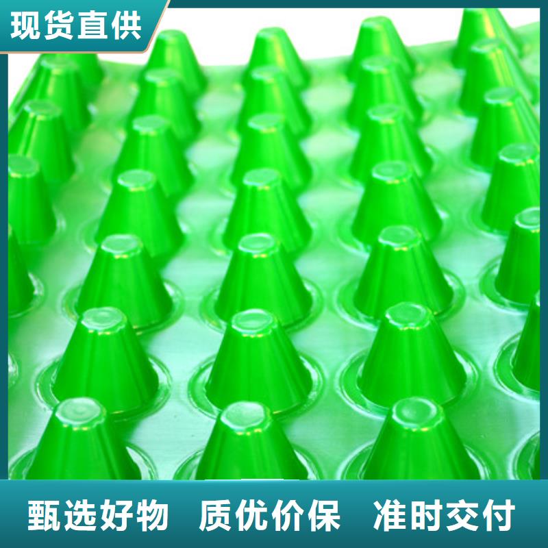 ?塑料排水板廠家直營店24小時下單發(fā)貨