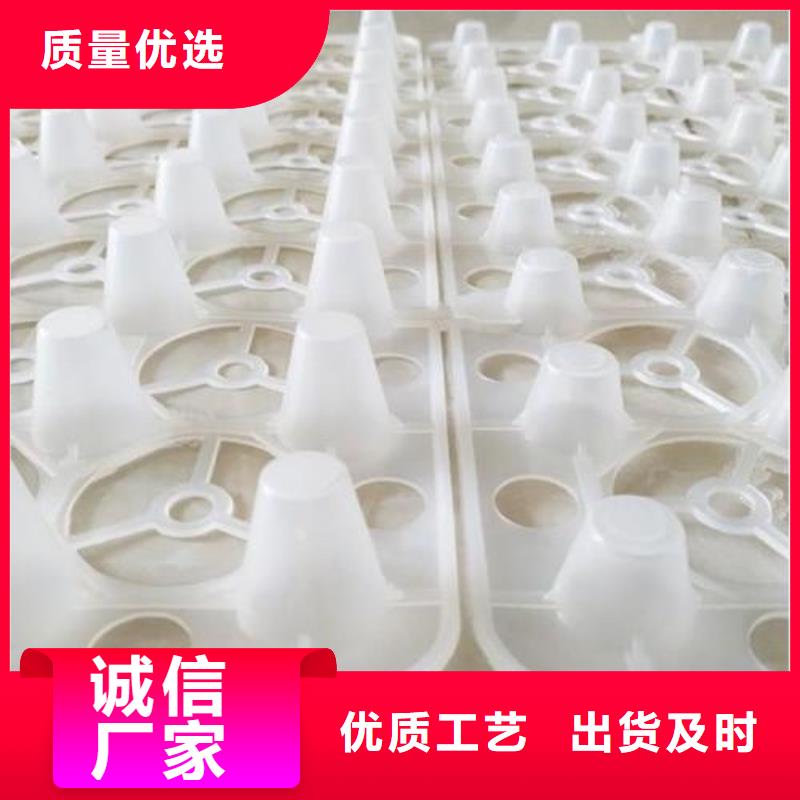 塑料排水板來(lái)電咨詢(xún)保障產(chǎn)品質(zhì)量