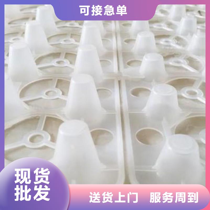 蓄排水板價格打造行業品質