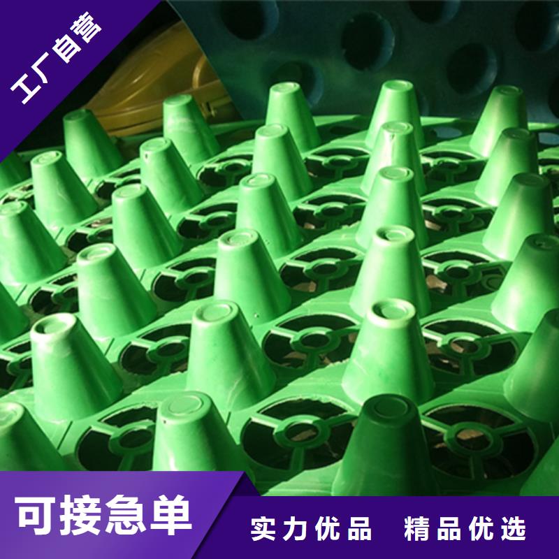 排水板植草格隨心所欲定制當地品牌