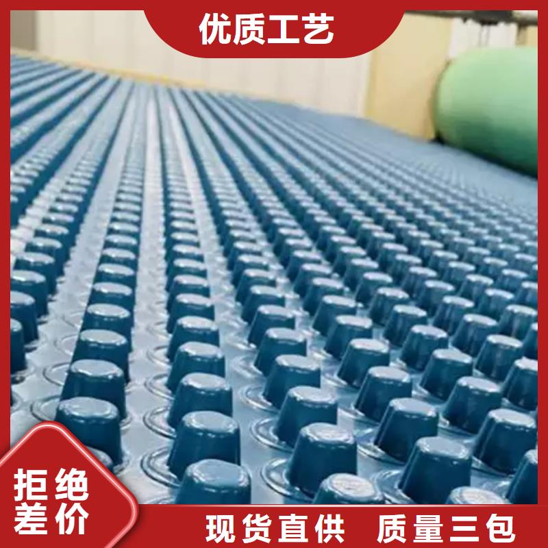 蓄排水板有限公司-批發(fā)生產(chǎn)制造廠家