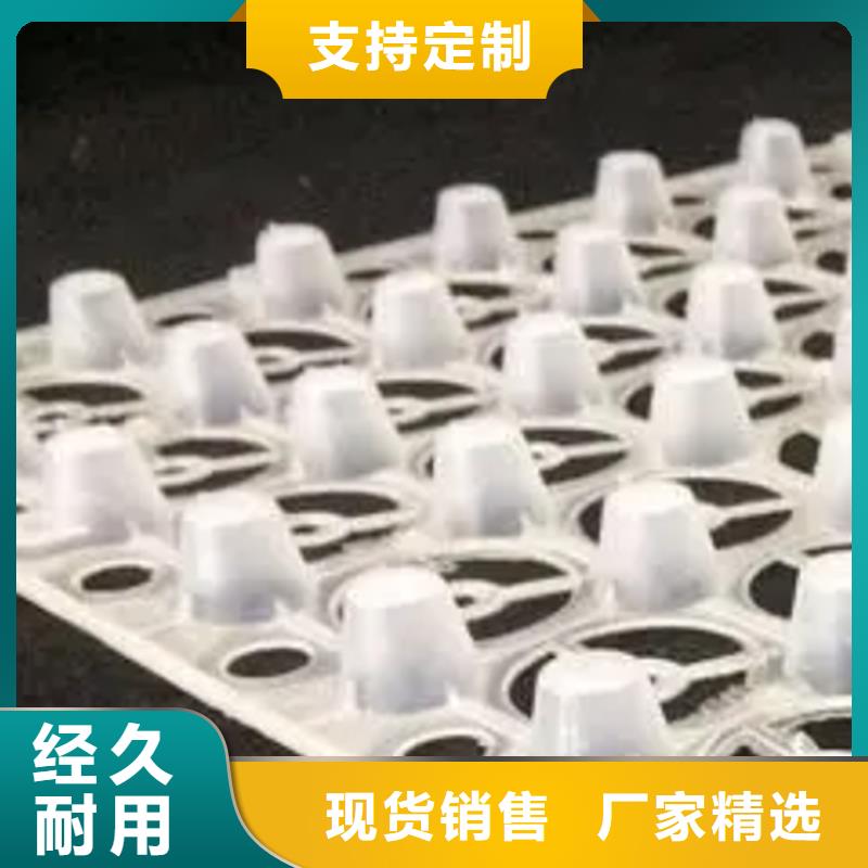 排水板生產(chǎn)有限公司好品質(zhì)售后無(wú)憂(yōu)