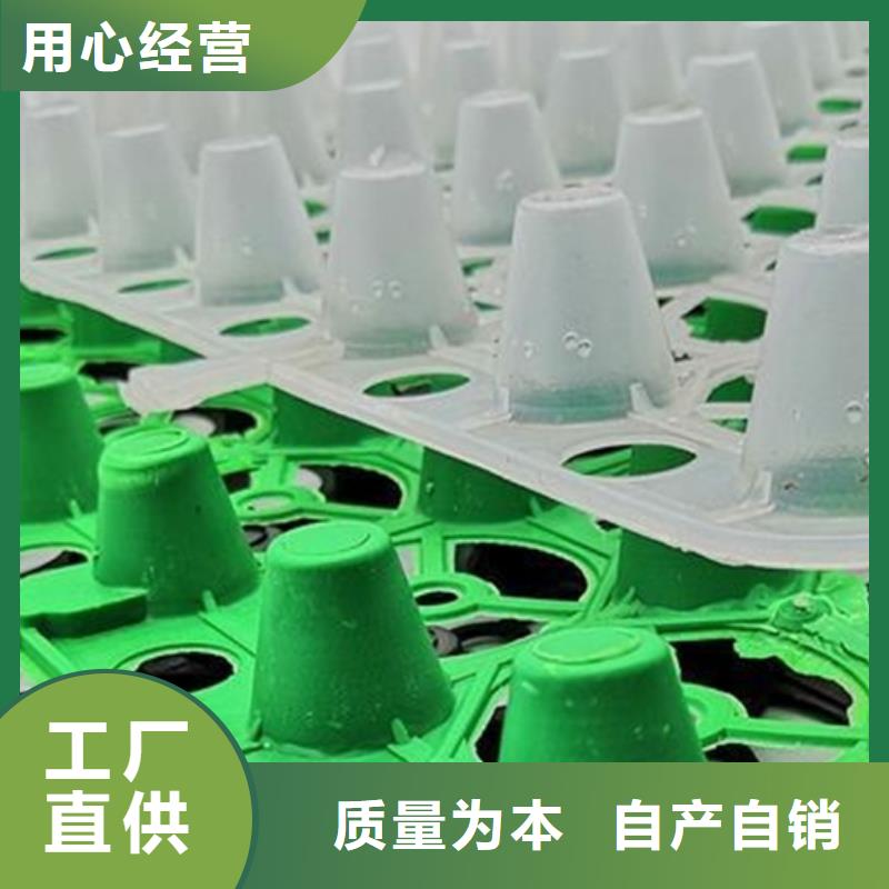 通遼塑料排水板產地貨源