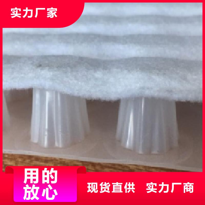 虹吸排水收集系統-當地供貨商熱銷產品