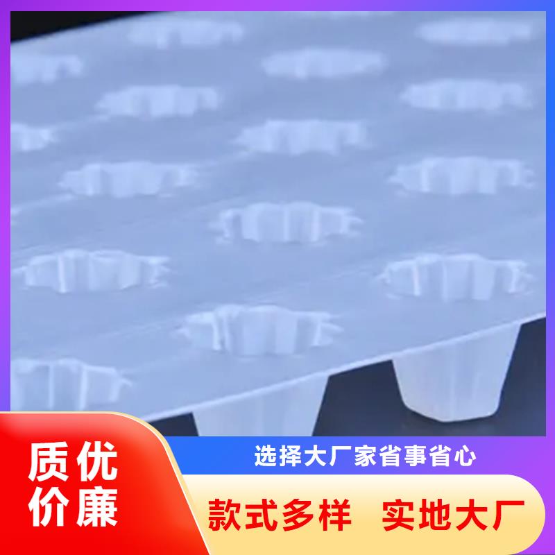 虹吸排水排水板支持大批量采購同城供應商