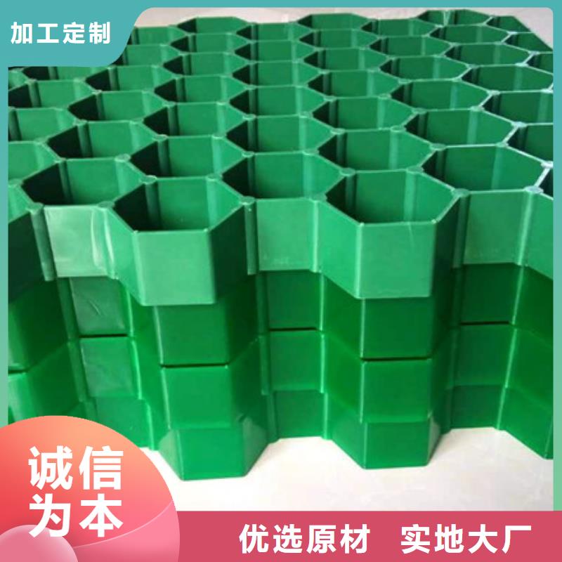 植草格*生產(chǎn)廠家用心經(jīng)營(yíng)